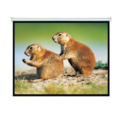 Picture of BRATECK 150' Projector Screen, Manual Self Locking, Matte Finish.