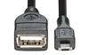 Picture of DYNAMIX 0.1m USB 2.0 Micro-B Male to USB-A Female Adapter. OTG