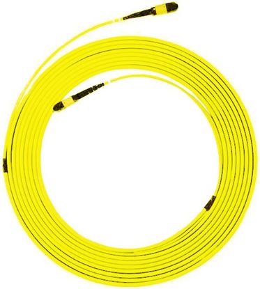 Picture of DYNAMIX 100M MPO APC ELITE Trunk Single mode Fibre Cable. POLARITY A