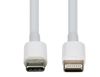Picture of DYNAMIX 1m USB-C to Lightning Charge & Sync Cable. For Apple
