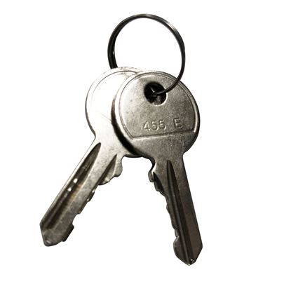 Picture of DYNAMIX Replacement Key For RODW series Outdoor Wall