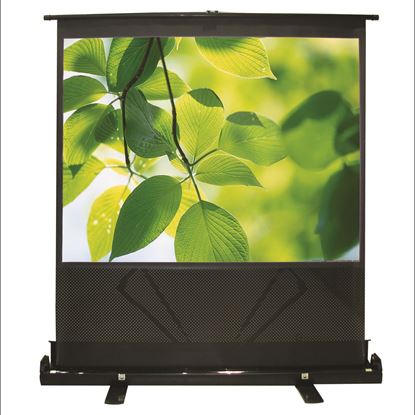 Picture of BRATECK 100' Projector Screen Floor Stand. 4:3 Aspect ratio.