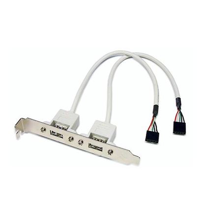 Picture of DYNAMIX USB SLOT Card. USB-A Female Connector to 2x 5-Pin