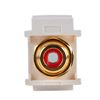 Picture of DYNAMIX Red RCA to RCA Keystone Adapter. Gold Plated