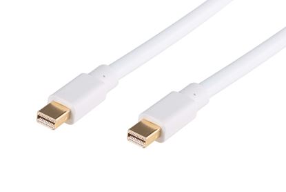 Picture of DYNAMIX 5M Mini DisplayPort Male to Mini DisplayPort Male Cable.
