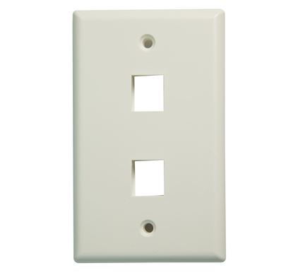 Picture of DYNAMIX Dual Port Face Plate for RJ45 110 Keystone Jacks.