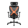 Picture of BRATECK SpineX Ergonomic Office Chair with Posture Enhancement.