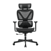 Picture of BRATECK SpineX Ergonomic Office Chair with Posture Enhancement.