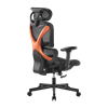 Picture of BRATECK SpineX Ergonomic Office Chair with Posture Enhancement.