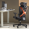 Picture of BRATECK SpineX Ergonomic Office Chair with Posture Enhancement.