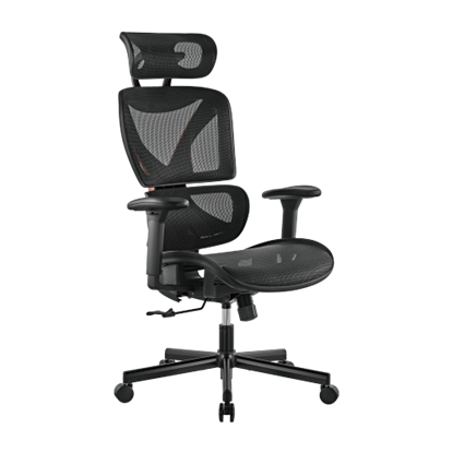 Picture of BRATECK SpineX Ergonomic Office Chair with Posture Enhancement.