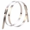 Picture of 7.9 x 350mm 316L Stainless Steel Cable Ties Pack of 50