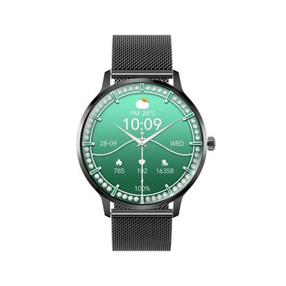 Picture of PROMATE IP68 Smartwatch with 1.32" Curved AMOLED Display & BT Calling